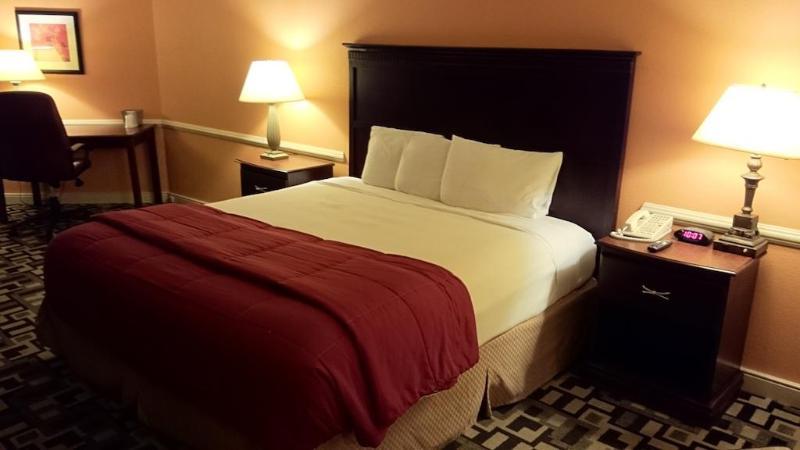 מלון אירווינג Wyndham Dfw Airport מראה חיצוני תמונה